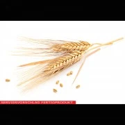 Brot-Gewürz (Bauernbrot)