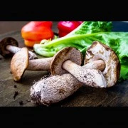 Pilzrahm-Sauce (Instant)