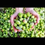 Hot-Chili-Olivenöl (aromatisiertes Olivenöl)