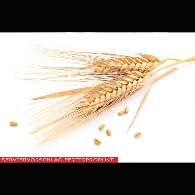 Seitan (Fleischersatz)