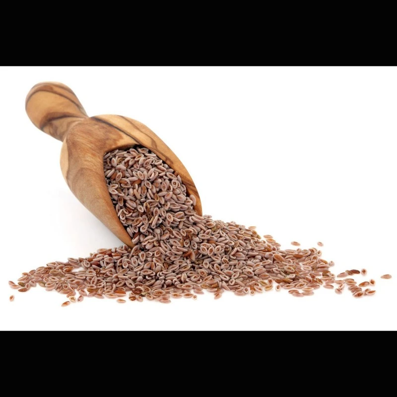 Flohsamenschalenpulver