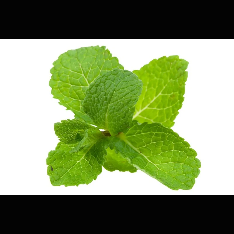 Minz-Öl (ätherisch)