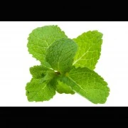 Minz-Öl (ätherisch)