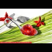 Kappa-Carrageen (Stabilisator E407a)