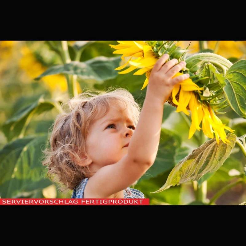 Lecithin (Sonnenblumenlecithin)