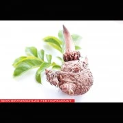 Konjak (Glucomannan)