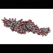 Transglutaminase Aktiv Plus