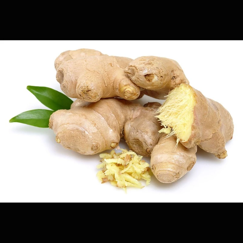 Ingwer-Oleoresin (flüssiger Gewürzextrakt)