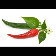 Capsicum-Oleoresin  (flüssiger Gewürzextrakt)