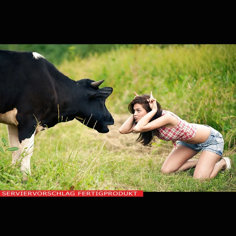 Lactose (Milchzucker)