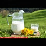 Lactose (Milchzucker)