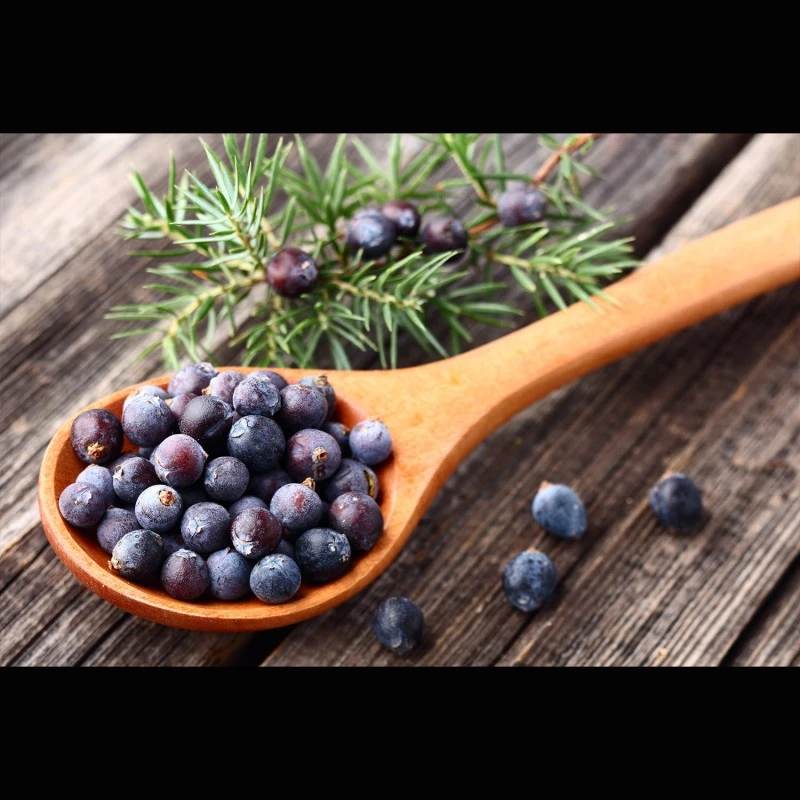 Wacholderbeeren-Öl (ätherisch)