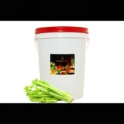 Sellerie-Oleoresin (flüssiges Gewürzextrakt)