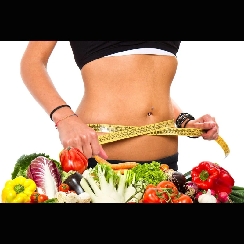 Pflanzenfaser (Low-Carb Fiber)