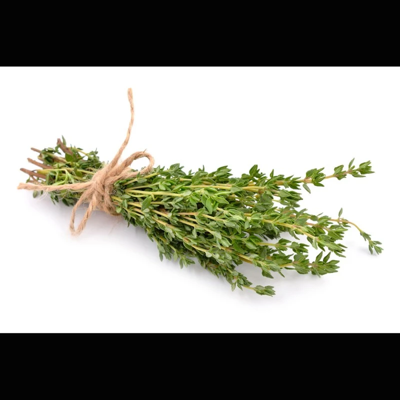 Thymian-Öl (ätherisch)