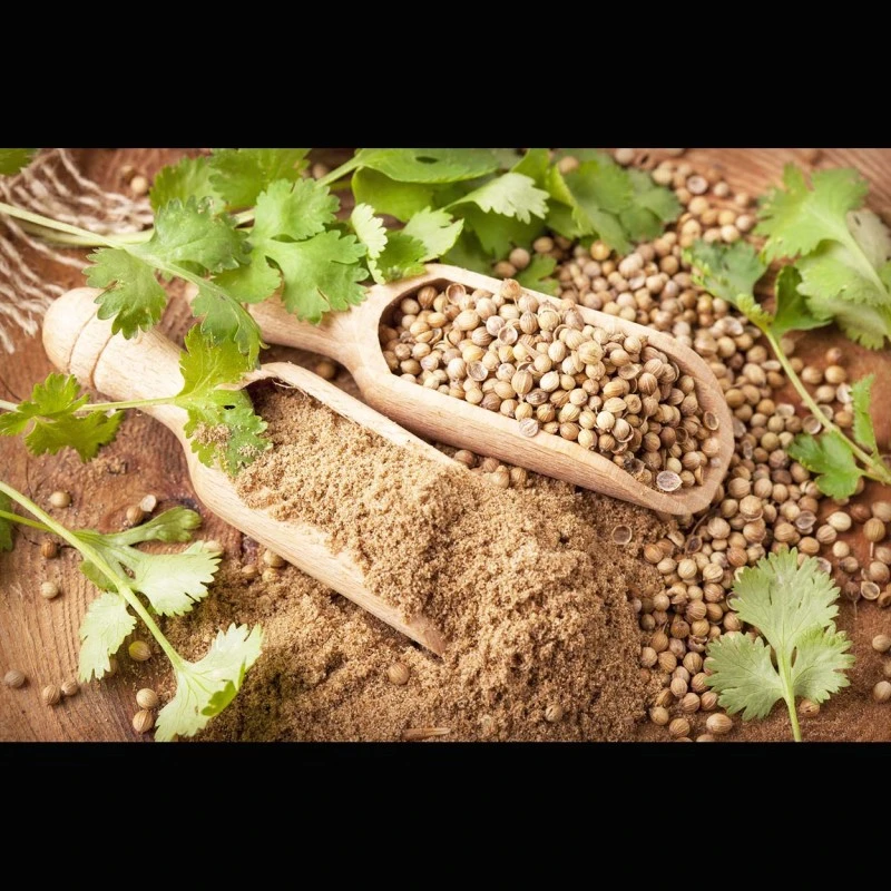 Korianderblatt-Öl (ätherisch)