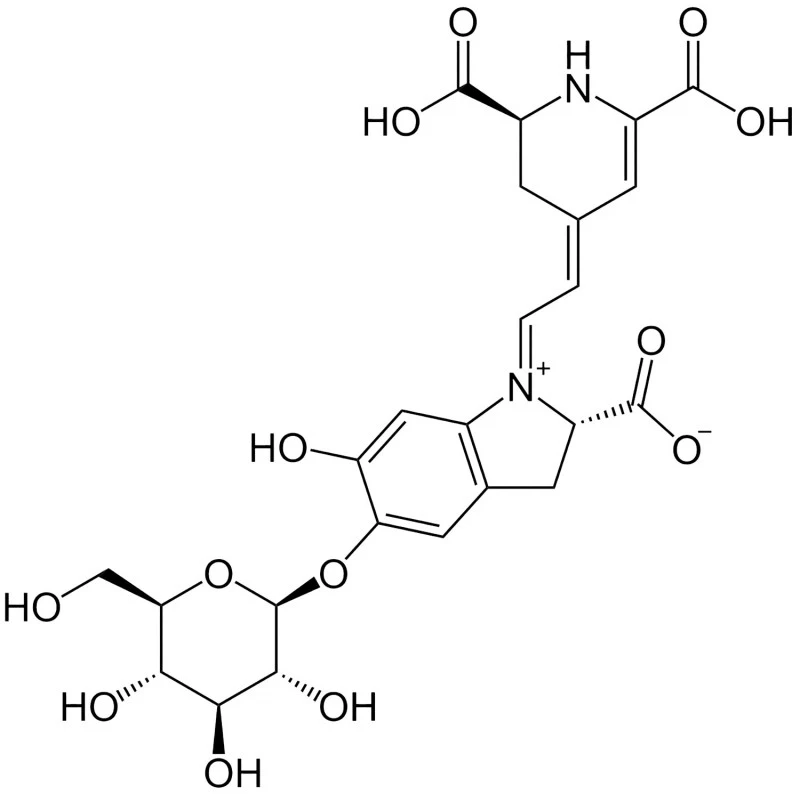 Betanin/Rote Beete (natürlicher Farbstoff)