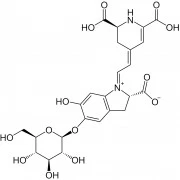 Betanin/Rote Beete (natürlicher Farbstoff)