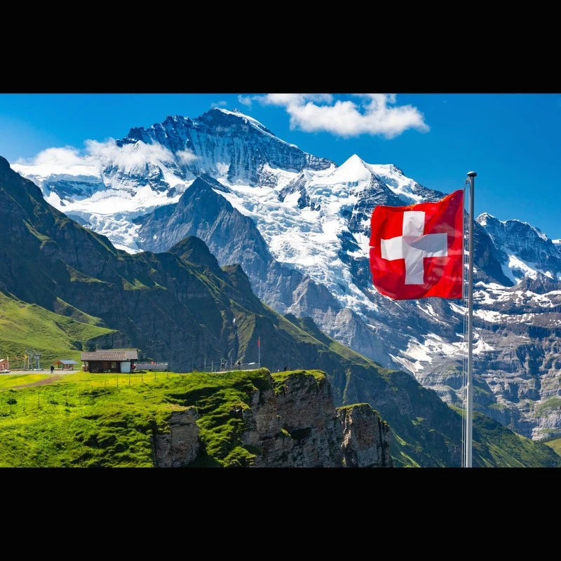 Raclette-Gewürz (Swiss-Style)