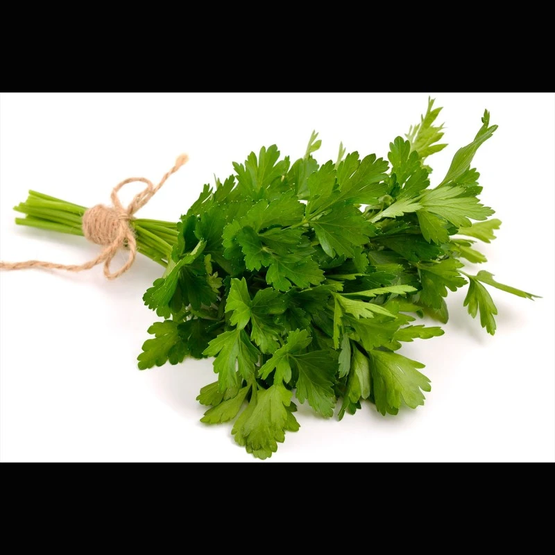 Petersilie, gerebelt