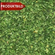 Petersilie, gerebelt