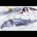 (G)La Marina Grillgewürz für Fisch - Streugewürze Angebot