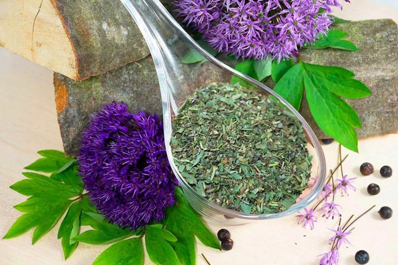 Kräuter der Provence