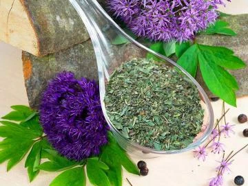 Kräuter der Provence