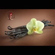 Vanille-Extrakt (natürlich)