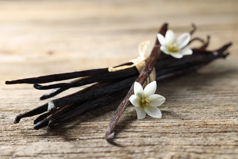 Vanilleschoten (Bourbon-Vanille), Spitzenqualität aus Madagaskar
